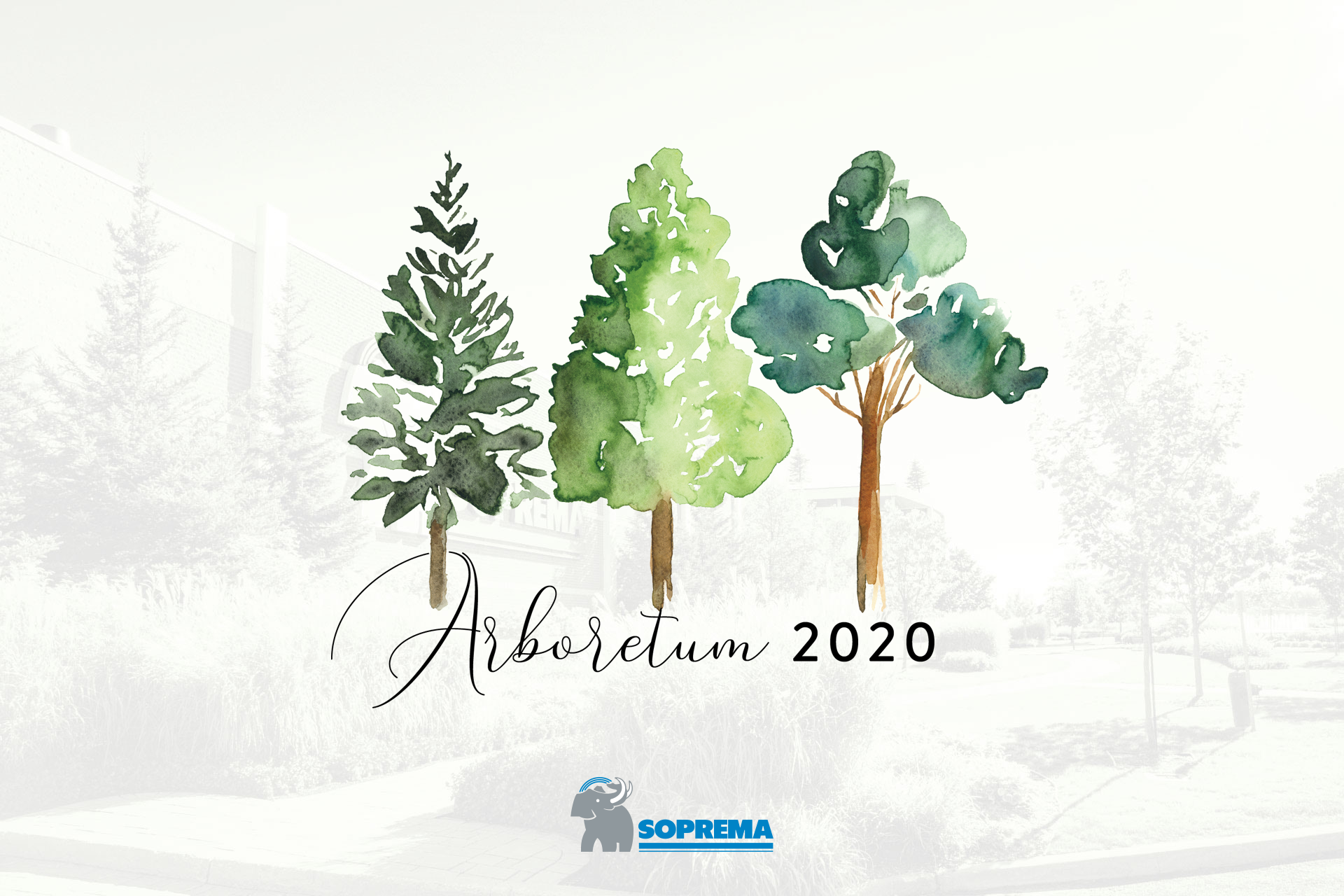 Home Arboretum Soprema Home Arboretum Soprema